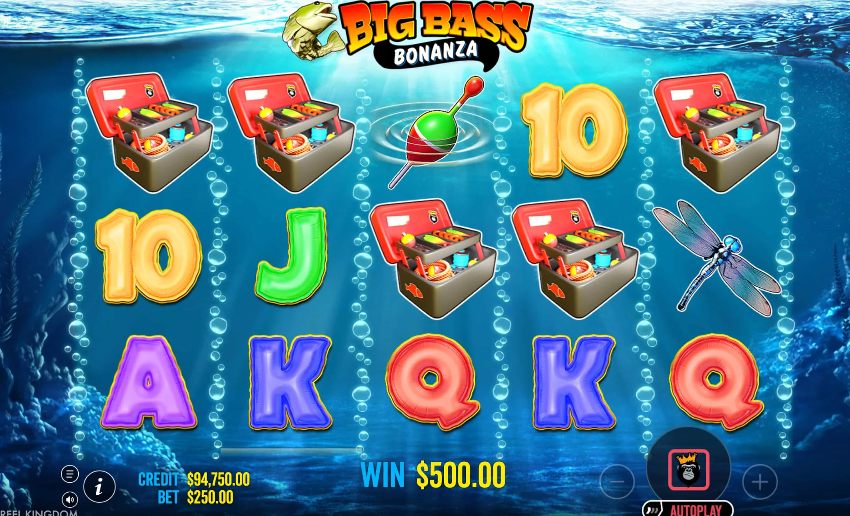 Big Bamboo App auf Android und iOS laden